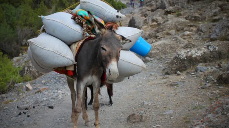 XAPURI RETROCEDE AOS ANOS 80: BURACOS, ISOLAMENTO E DESCASO TOTAL